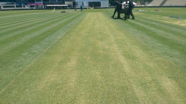 The surface for Hamilton Test The surface for Hamilton Test