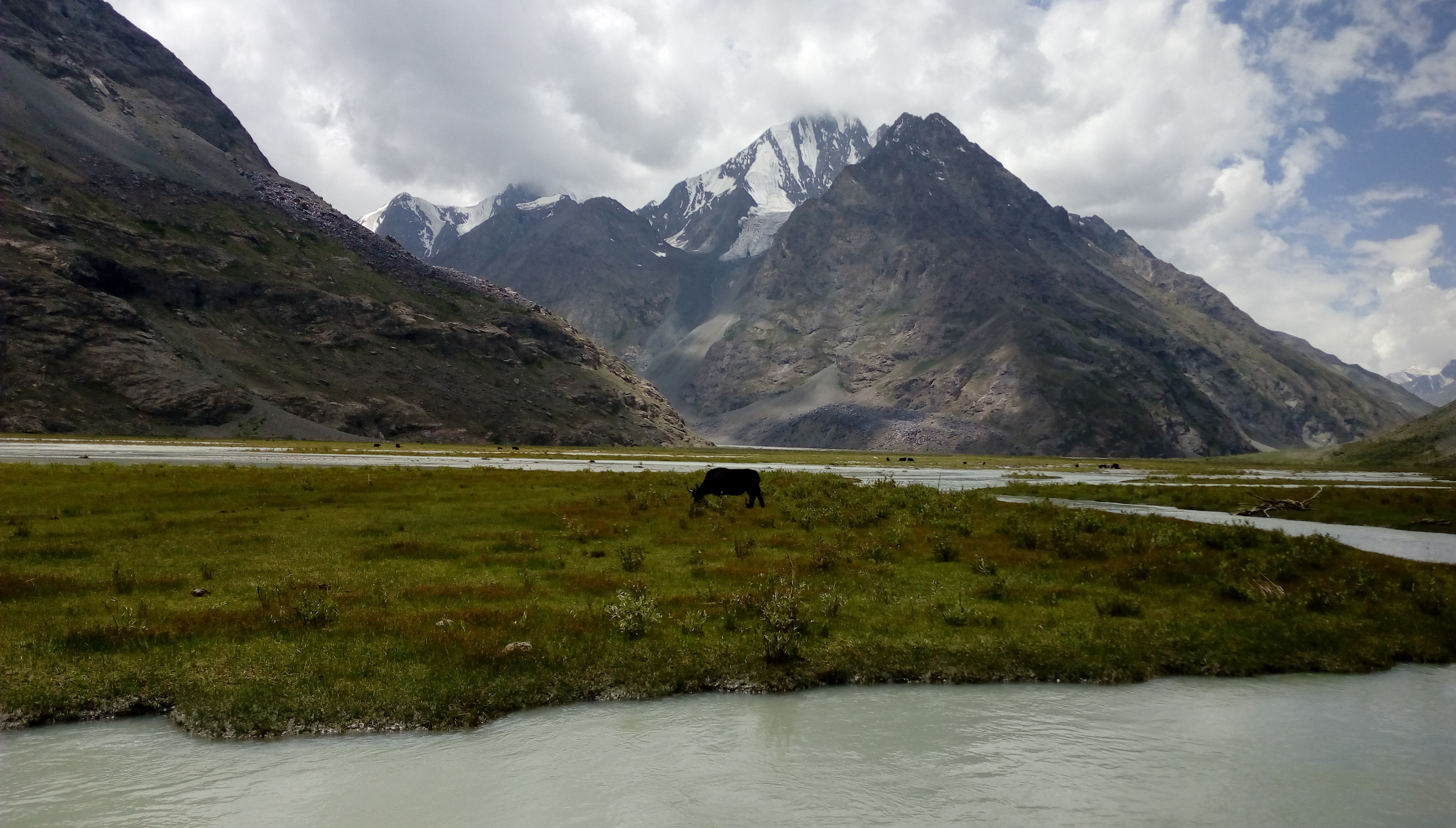 Bashkhar Meadows