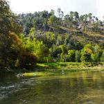 Nilan-Bhotu-Islamabad-750×496