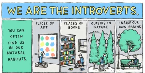 Life of an Introvert (Part II)