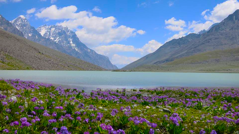 Un-named Lake near Thalo