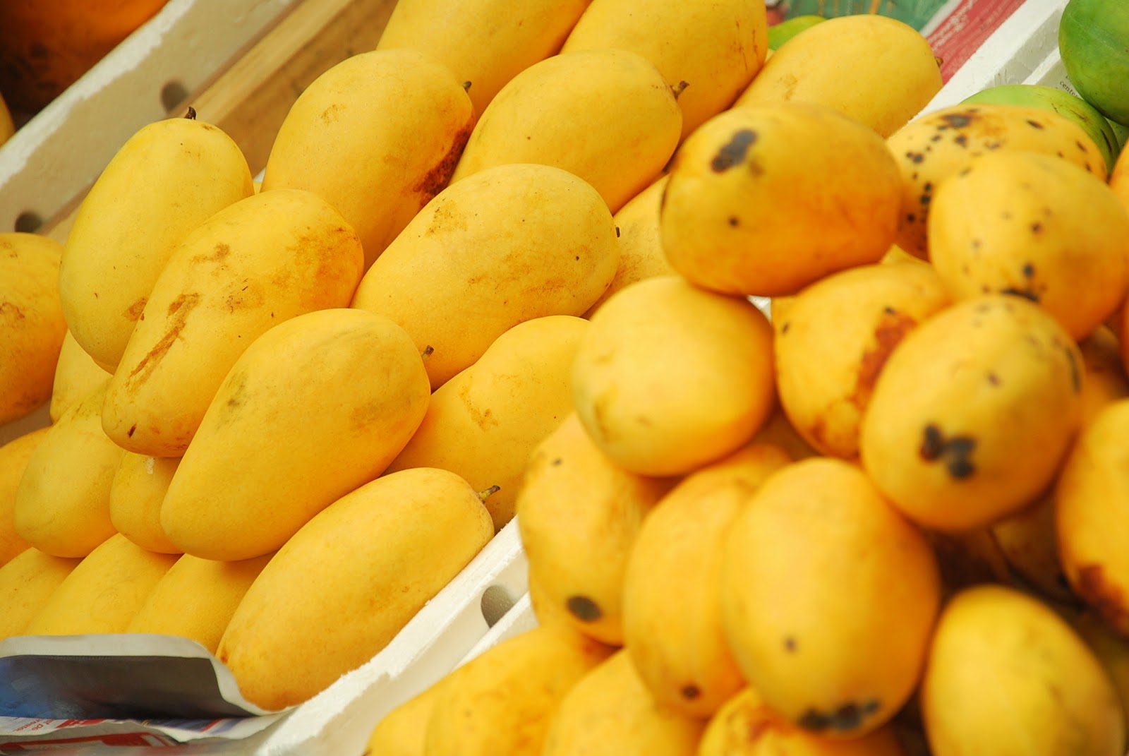 Pakistani Mangoes