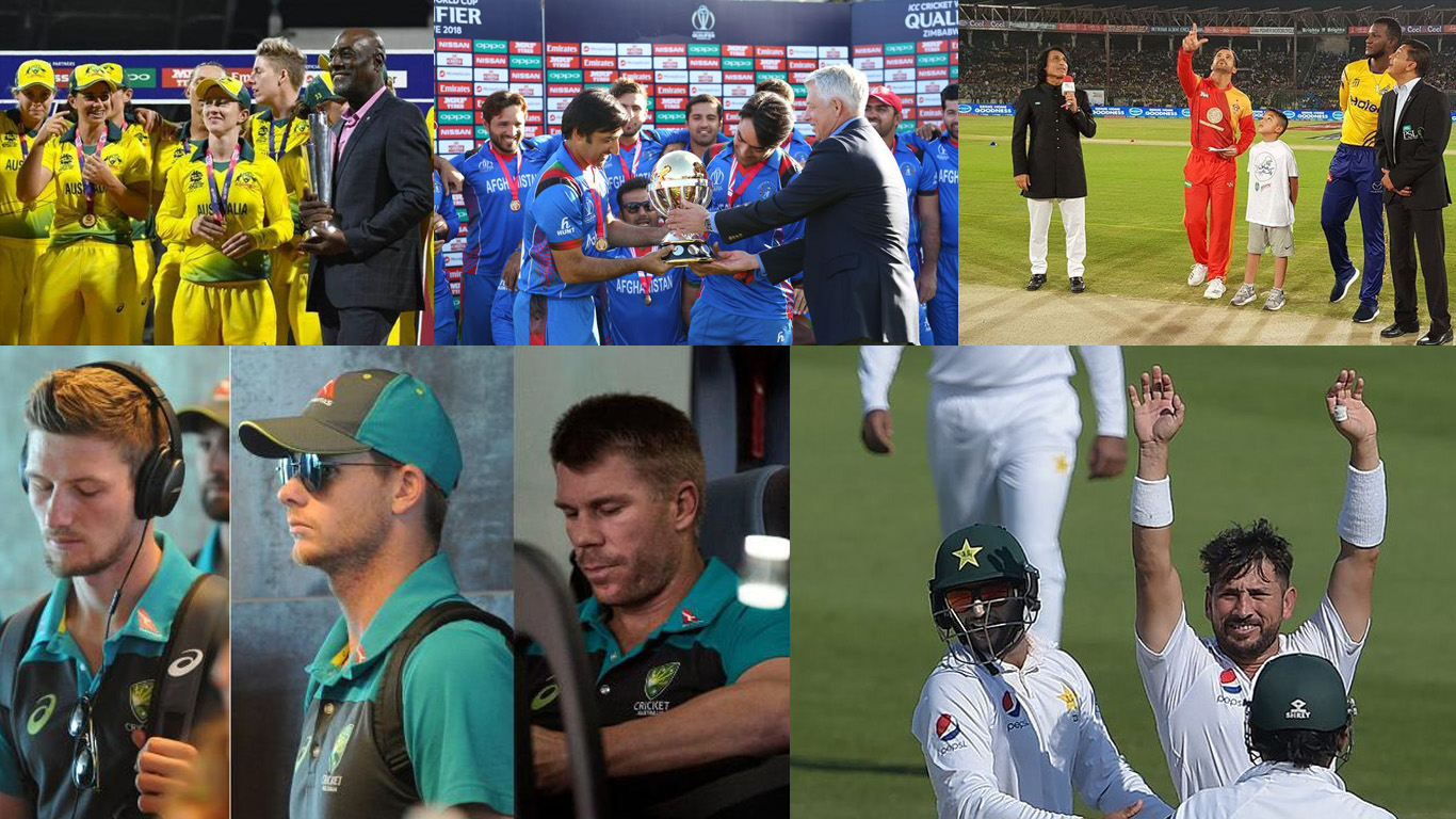 Cricket In Pictures