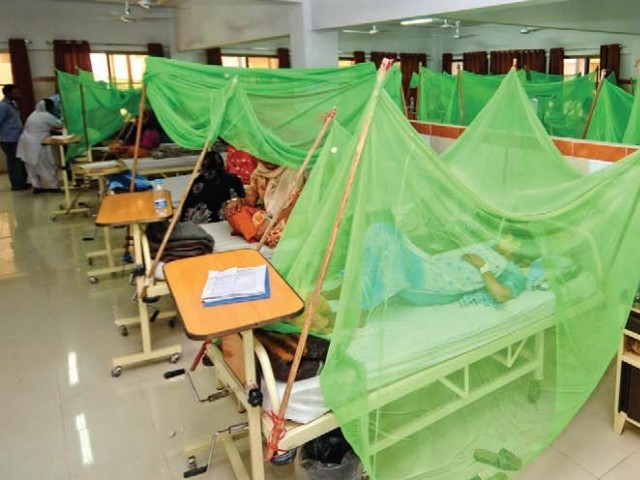 dengue Pakistan