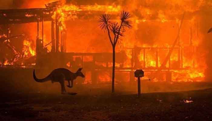 #AustralianBushfire