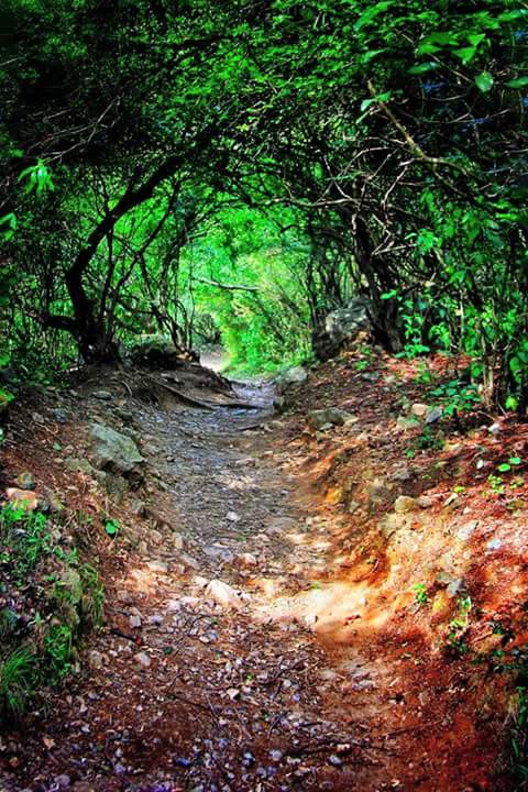 margalla hill hiking