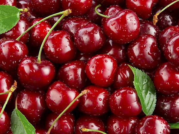 cherries