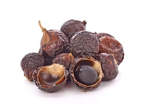 soapnut