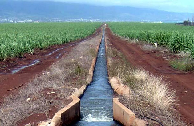 irrigation system