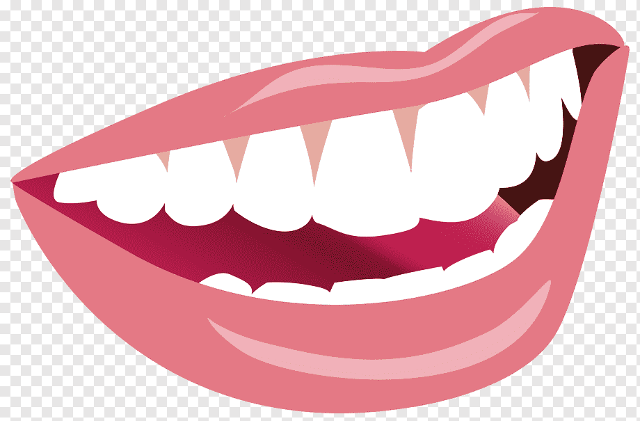 human teeth