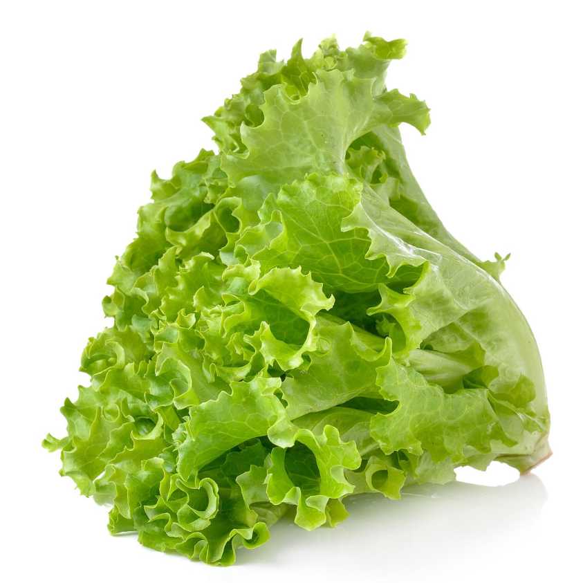 Lettuce leaves