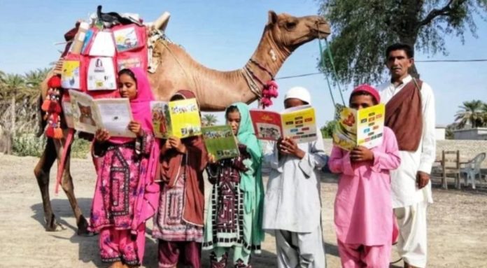 Camel Library Balochistan