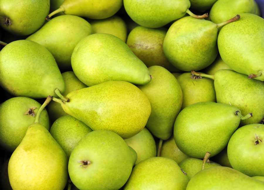 pears