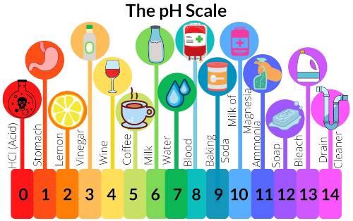 ph scale