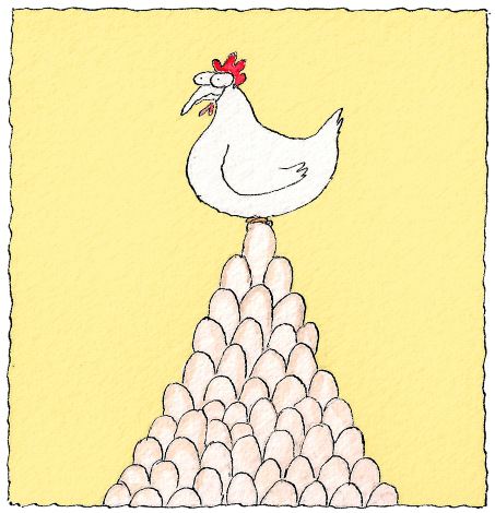 hen laying eggs