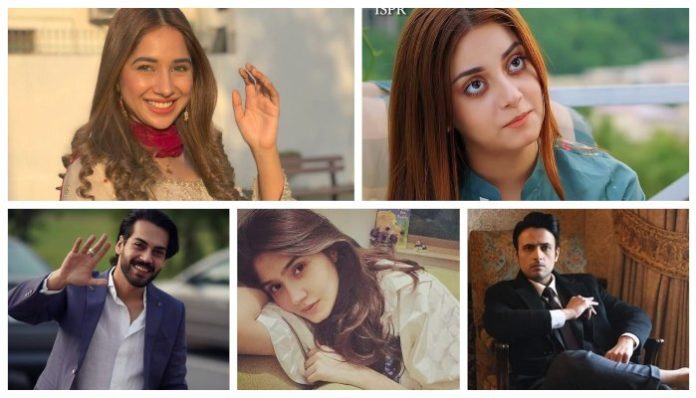 Pakistani celebrity crushes