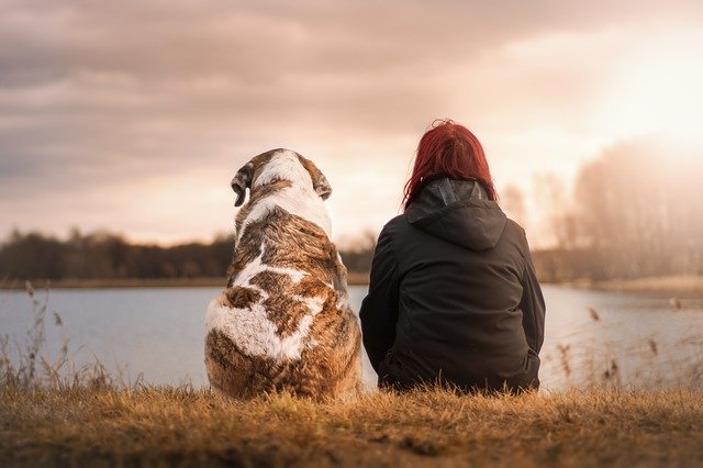 Dog and Owner Sitting