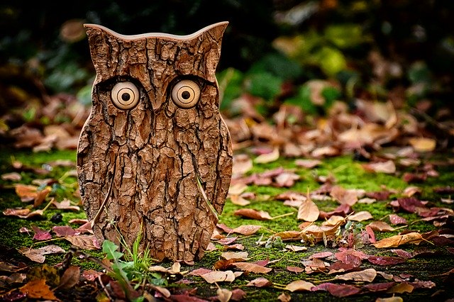 Wooden Owl