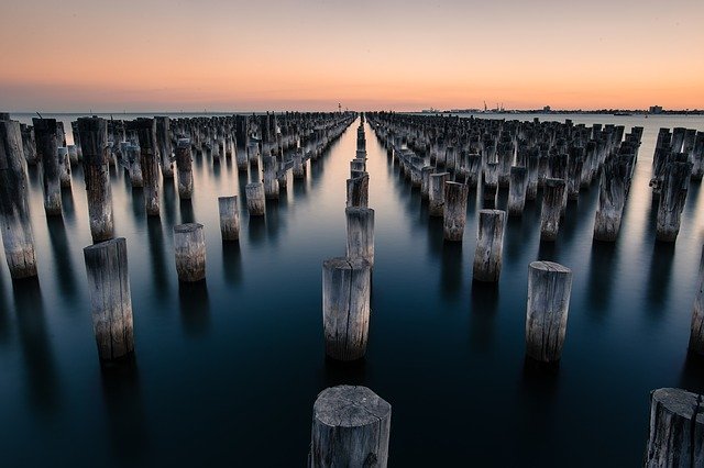 Wooden poles in body of water