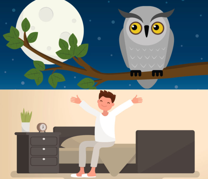 Early Bird vs Night Owl