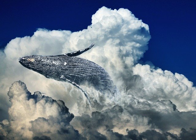 whale jumping out of clouds