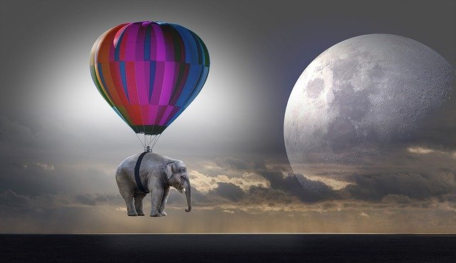 Elephant tied to air balloon