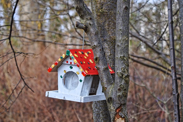 Bird House