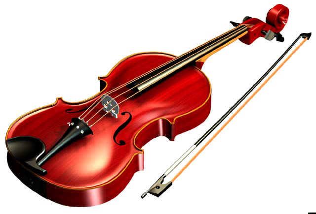 Violin