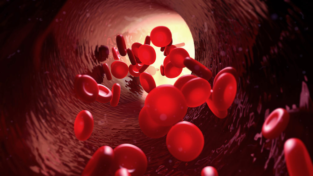 Red blood cells animated