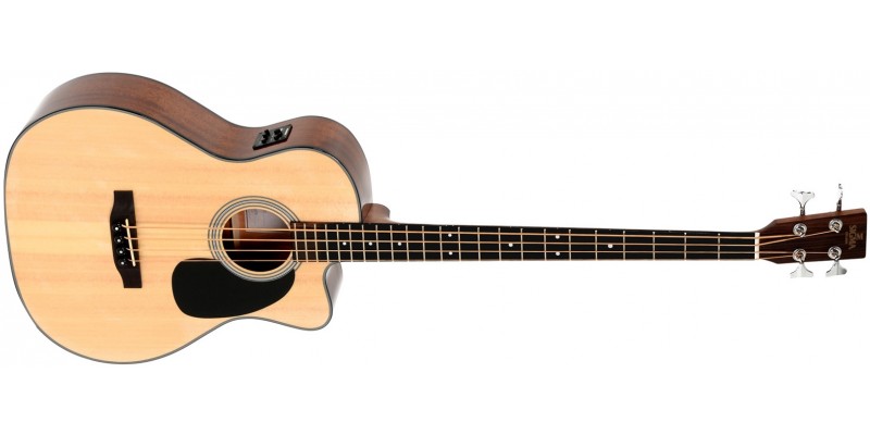 Acoustic Bass Guitar