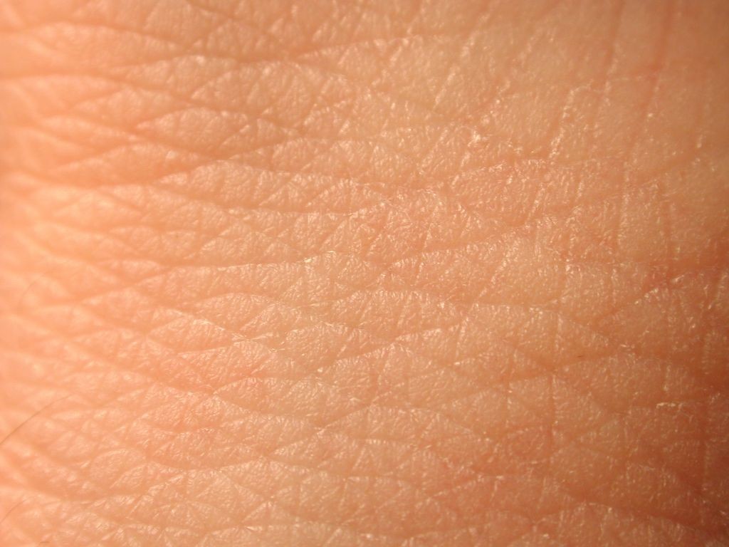 Human Skin