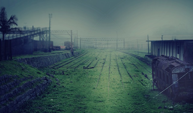 Green field with fog