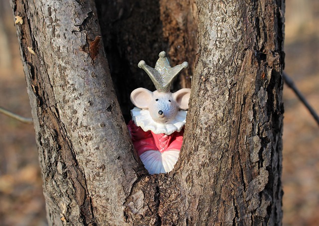 Mouse Doll in forest