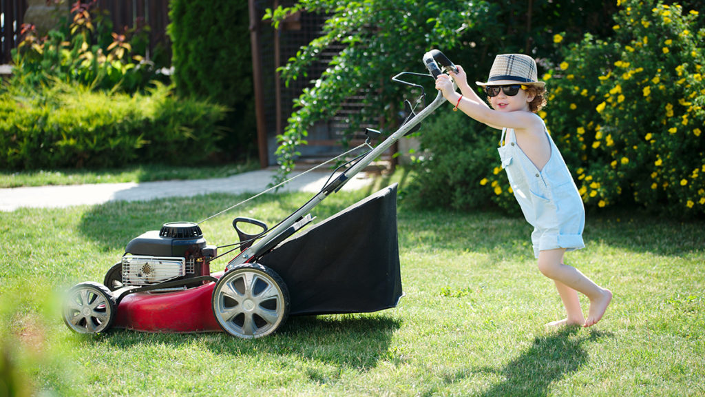 Mowing the Lawn