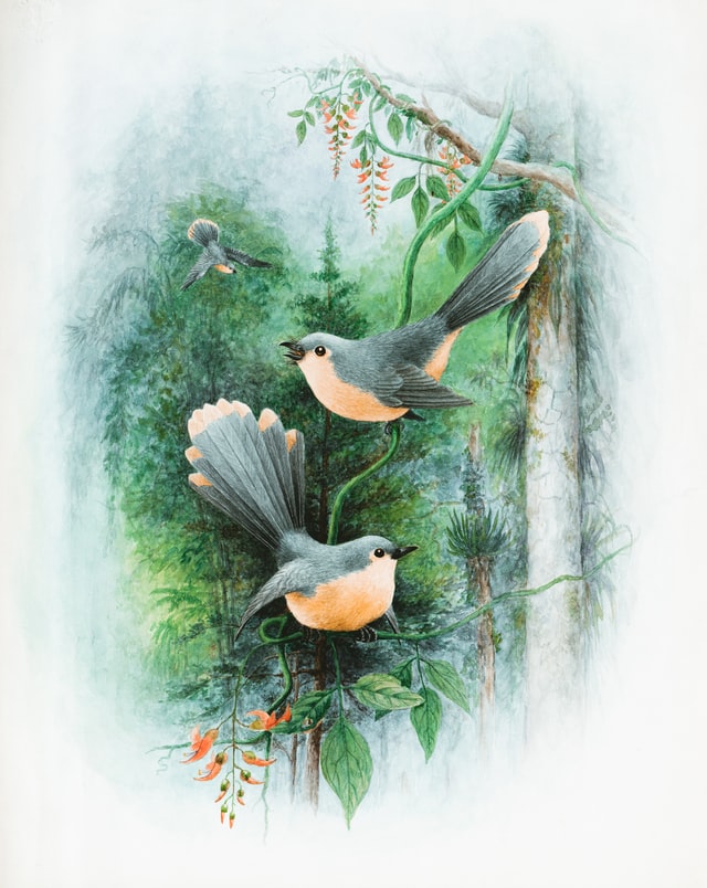 Painting of birds