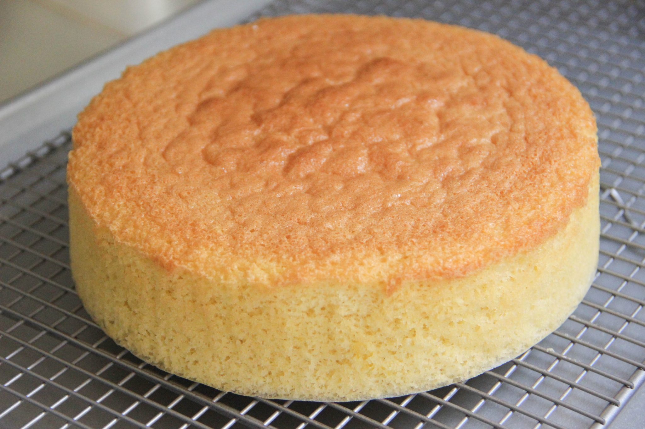 Plain Sponge Cake