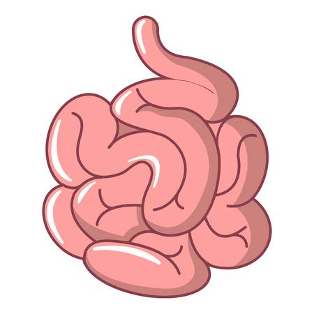 Small Intestines