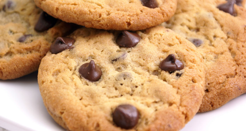 Chocolate Chip Cookies