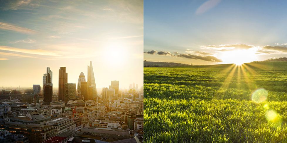 City or Countryside?