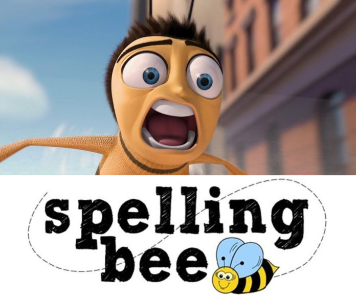 Spelling Bee Quiz