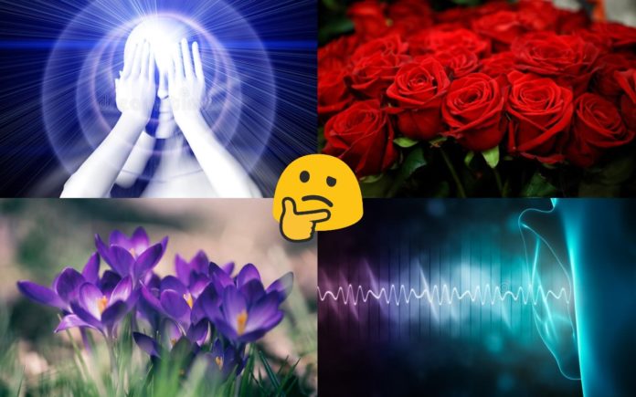 Dominant Sense Flowers Quiz