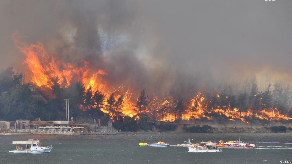 bushes in flames