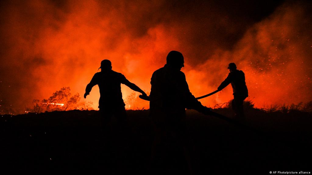 smoke rising from bushes