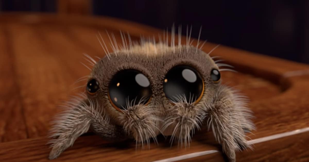 Animated Spider