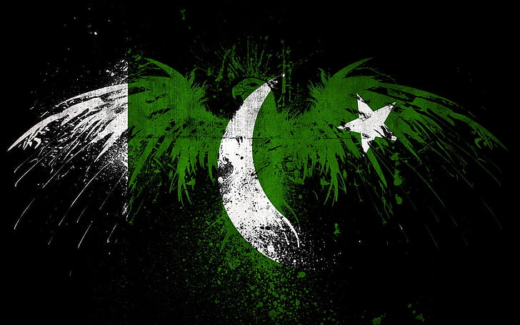 Pakistan Flag