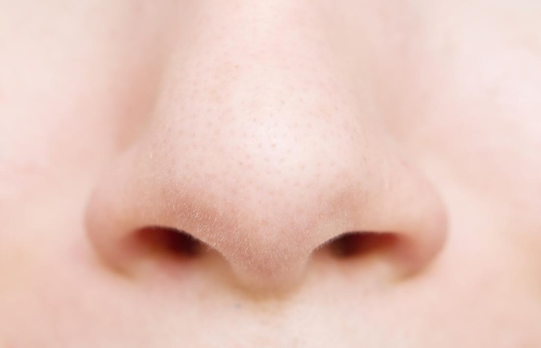 Nose