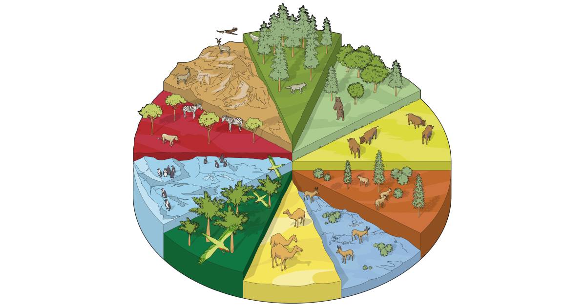 Types of habitats