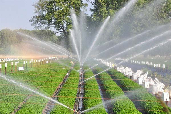 Pakistan Irrigation System