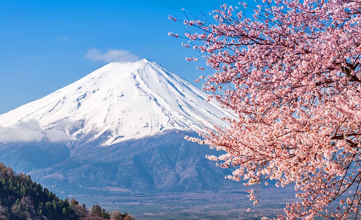 Mount Fuji