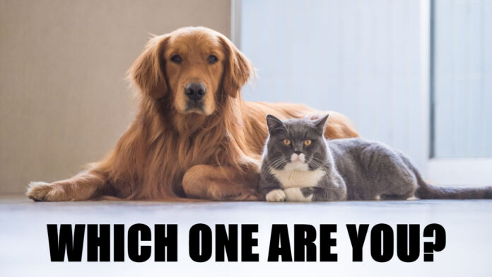 Cat Dog Personality Quiz